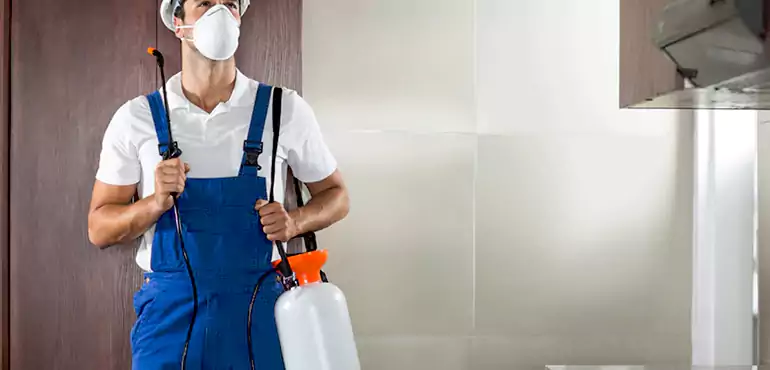 Why Milwaukee Homeowners Choose Us When Pests Make Selling Difficult